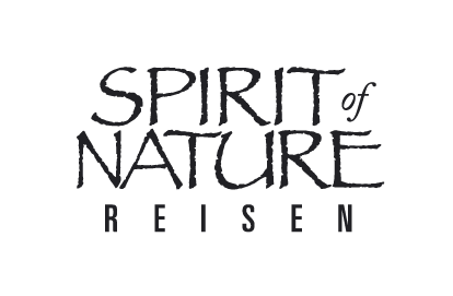 weiter zur Startseite